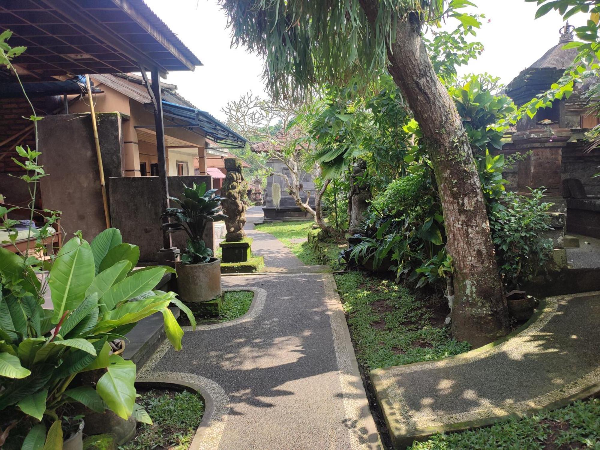 Bhuana Shanti Homestay Убуд Стая снимка